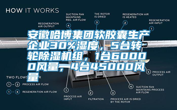 安徽哈博集團(tuán)軟膠囊生產(chǎn)企業(yè)30%濕度，5臺(tái)轉(zhuǎn)輪除濕機(jī)組，1臺(tái)60000風(fēng)量，4臺(tái)45000風(fēng)量