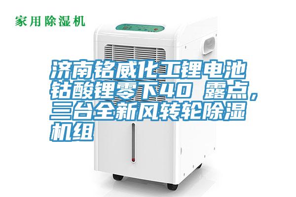 濟南銘威化工鋰電池鈷酸鋰零下40℃露點，三臺全新風轉輪除濕機組