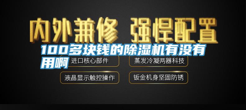 100多塊錢的除濕機(jī)有沒有用啊