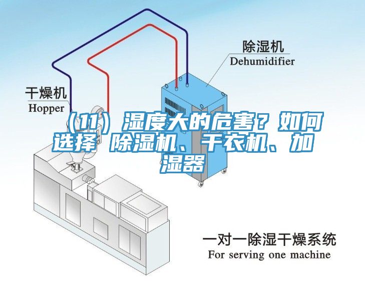 （11）濕度大的危害？如何選擇 除濕機(jī)、干衣機(jī)、加濕器